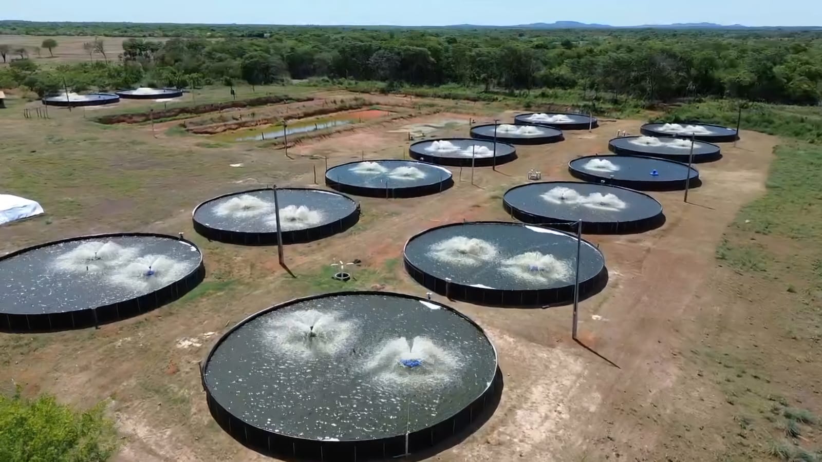 Fazenda de piscicultura com tanques circulares